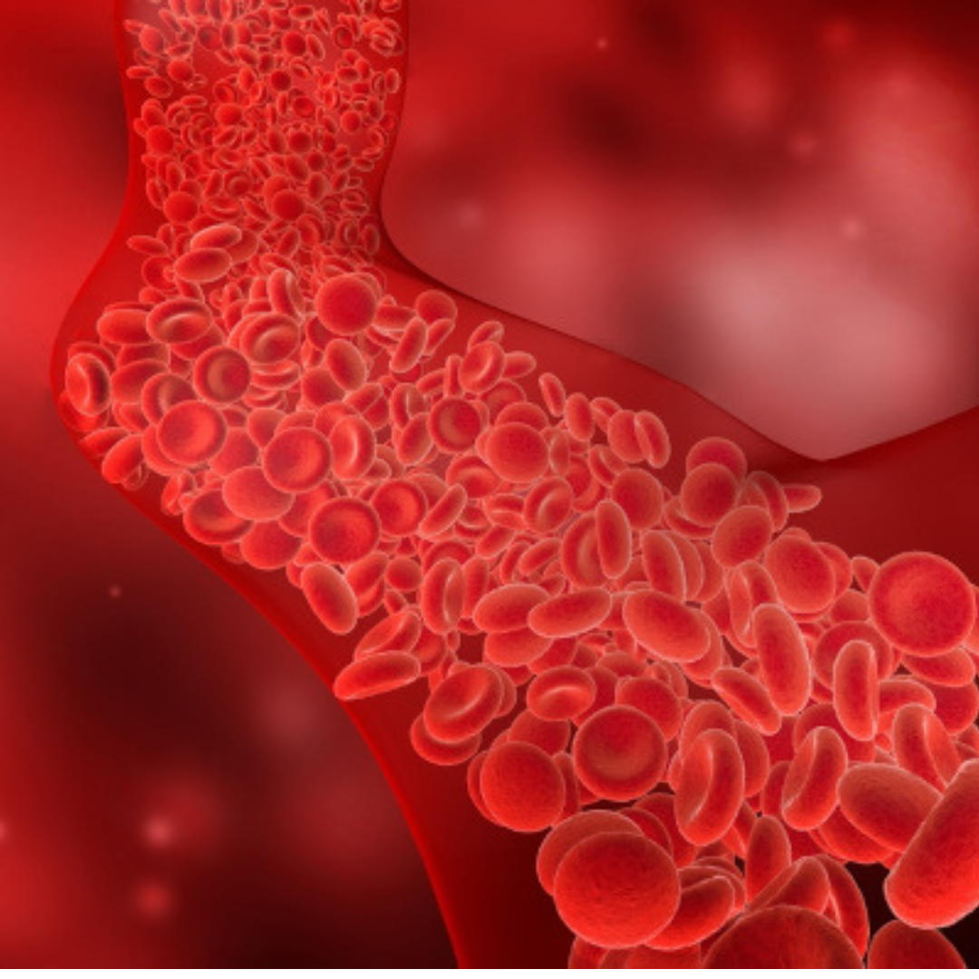 Deficiências nutricionais - vitaminas e minerais em falta no organismo